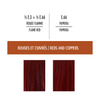 Coloring set: Optimal result - Red and copper colors