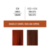 Coloring set: Optimal result - Red and copper colors