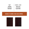 Coloring set: Optimal result - Red and copper colors